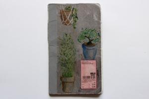 IMG 7388