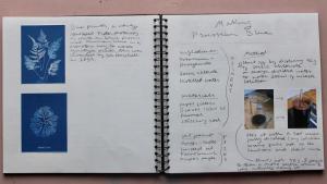 IMG 7483